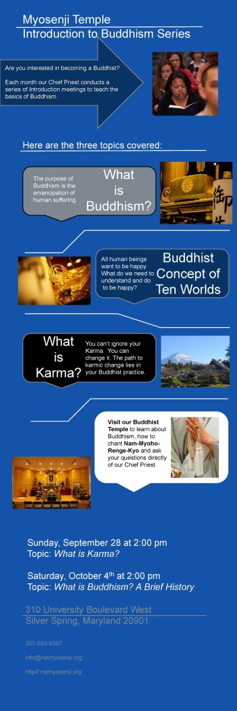 Intro to Buddhism Infographic